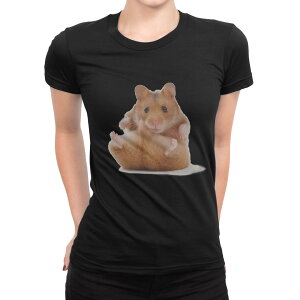 tVc fB[X  ubN  fUC M L TVc eB[Vc T shirt 001075 nX^[@