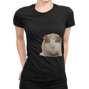 tVc fB[X  ubN  fUC M L TVc eB[Vc T shirt 006036 ʐ^@@nX^[