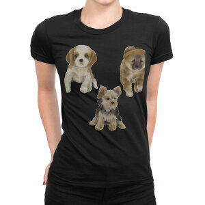 tVc fB[X  ubN  fUC M L TVc eB[Vc T shirt 014619 @@Aj}