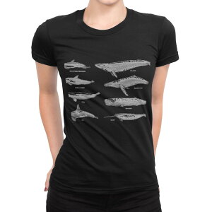 tVc fB[X  ubN  fUC M L TVc eB[Vc T shirt 015815 @NW@V`