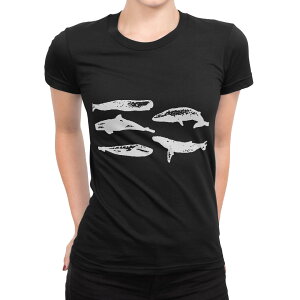 tVc fB[X  ubN  fUC M L TVc eB[Vc T shirt 016054 @V`@