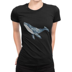 tVc fB[X  ubN  fUC M L TVc eB[Vc T shirt 017506 @~@C
