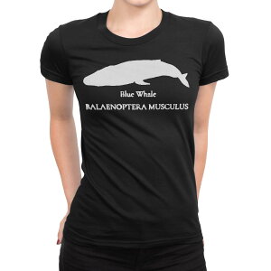 t�V���c ���f�B�[�X ���� �u���b�N �� �f�U�C�� M L T�V���c �e�B�[�V���c T shirt 019741 �C�̐��� �V���i�K�X�N�W�� blue whale