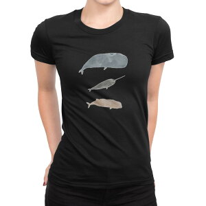 tVc fB[X  ubN  fUC M L TVc eB[Vc T shirt 019914  CbJN 邩