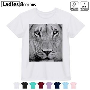 hCTVc z  DRY Iׂ8J[ tVc fB[X X|[c  UV΍ fUC M L TVc eB[Vc T shirt001051 CI@