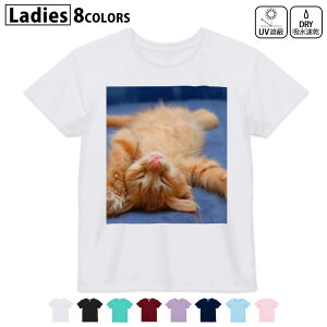 hCTVc z  DRY Iׂ8J[ tVc fB[X X|[c  UV΍ fUC M L TVc eB[Vc T shirt002759 L@@ʐ^