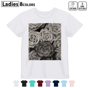 hCTVc z  DRY Iׂ8J[ tVc fB[X X|[c  UV΍ fUC M L TVc eB[Vc T shirt023744 ԁ@t[@o@ZsA