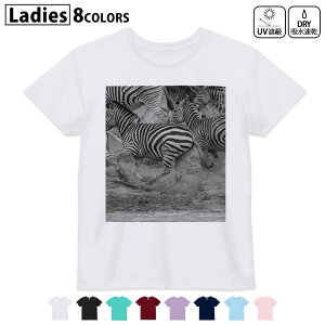 hCTVc z  DRY Iׂ8J[ tVc fB[X X|[c  UV΍ fUC M L TVc eB[Vc T shirt023996 ܂܁@@ʐ^