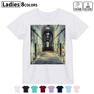 hCTVc z  DRY Iׂ8J[ tVc fB[X X|[c  UV΍ fUC M L TVc eB[Vc T shirt023997 @p