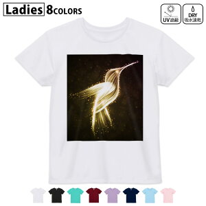 hCTVc z  DRY Iׂ8J[ tVc fB[X X|[c  UV΍ fUC M L TVc eB[Vc T shirt004513 @@S[h@Vv