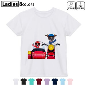 hCTVc z  DRY Iׂ8J[ tVc fB[X X|[c  UV΍ fUC M L TVc eB[Vc T shirt008126 ʐ^@@oCN@ԁ@bh