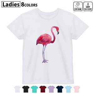 hCTVc z  DRY Iׂ8J[ tVc fB[X X|[c  UV΍ fUC M L TVc eB[Vc T shirt011410 t~S@sN@