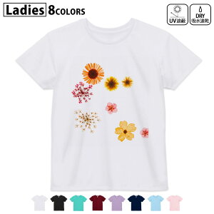 hCTVc z  DRY Iׂ8J[ tVc fB[X X|[c  UV΍ fUC M L TVc eB[Vc T shirt013427 ԁ@ԕ@F