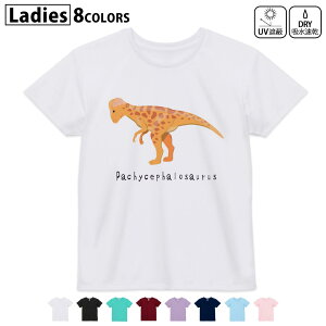 hCTVc z  DRY Iׂ8J[ tVc fB[X X|[c  UV΍ fUC M L TVc eB[Vc T shirt017690 pLPt@TEX saurus 