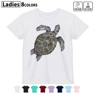 hCTVc z  DRY Iׂ8J[ tVc fB[X X|[c  UV΍ fUC M L TVc eB[Vc T shirt019004 J T