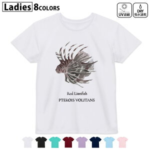 hCTVc z  DRY Iׂ8J[ tVc fB[X X|[c  UV΍ fUC M L TVc eB[Vc T shirt019736 C̐ ni~mJTS red lionfish