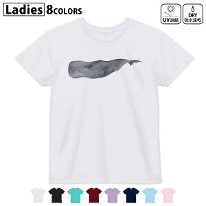 ドライTシャツ 吸水 速乾 DRY 選べる8カラー tシャツ レディース スポーツ ゆったり UV対策 デザイン M L Tシャツ ティーシャツ T shirt019926 海の生物 くじら かわいい