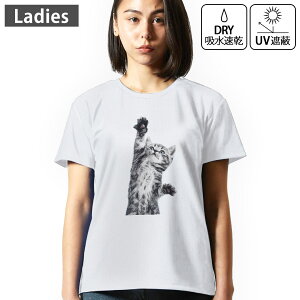 fB[X hCTVc zCg  4.1IX W g[jO X|[c ^ hCAX`bN UVJbg OՕ z fUC Tshirt M L Aj} lR@ 001200