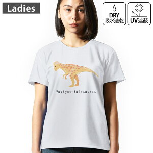 fB[X hCTVc zCg  4.1IX W g[jO X|[c ^ hCAX`bN UVJbg OՕ z fUC Tshirt M L  pLPt@TEX Pachyce