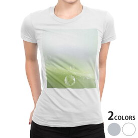 tシャツ レディース 半袖 白地 デザイン S M L XL Tシャツ ティーシャツ T shirt 001802 その他 しゃぼん玉　緑