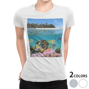 tVc fB[X  n fUC M L  zCg O[ TVc eB[Vc T shirt 003328 N[ ʐ^Ei C@O@ʐ^@iF