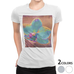 tVc fB[X  n fUC S M L XL TVc eB[Vc T shirt 022899 ԁ@Jt@G@yCg