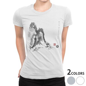 tVc fB[X  n fUC M L  zCg O[ TVc eB[Vc T shirt 032053 n R {