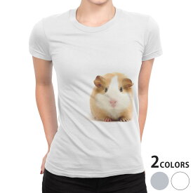 tシャツ レディース 半袖 白地 デザイン S M L XL Tシャツ ティーシャツ T shirt 006036 アニマル 写真・風景 写真　動物　ハムスター