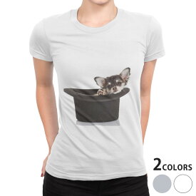 tシャツ レディース 半袖 白地 デザイン S M L XL Tシャツ ティーシャツ T shirt 006481 アニマル 写真・風景 写真　犬　動物