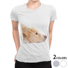 tシャツ レディース 半袖 白地 デザイン S M L XL Tシャツ ティーシャツ T shirt 006630 写真・風景 写真　犬　動物