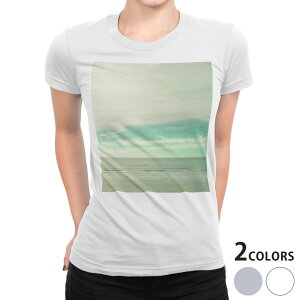 tVc fB[X  n fUC M L  zCg O[ TVc eB[Vc T shirt 008671 ʐ^Ei ʐ^@@C@l