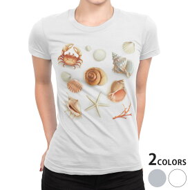 tシャツ レディース 半袖 白地 デザイン S M L XL Tシャツ ティーシャツ T shirt 009662 貝殻　海　砂浜