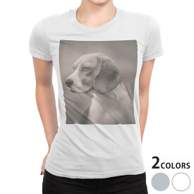 tシャツ レディース 半袖 白地 デザイン S M L XL Tシャツ ティーシャツ T shirt 011976 犬　写真　セピア