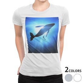 tシャツ レディース 半袖 白地 デザイン S M L XL Tシャツ ティーシャツ T shirt 012663 クジラ　シルエット　ダイビング