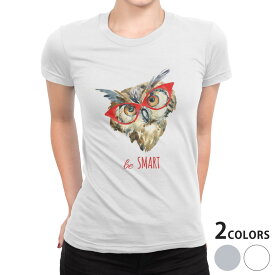 tシャツ レディース 半袖 白地 デザイン S M L XL Tシャツ ティーシャツ T shirt 013424 ふくろう　とり　めがね