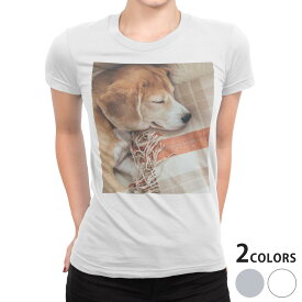 tシャツ レディース 半袖 白地 デザイン S M L XL Tシャツ ティーシャツ T shirt 014838 犬　昼寝