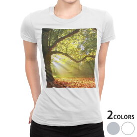 tシャツ レディース 半袖 白地 デザイン S M L XL Tシャツ ティーシャツ T shirt 014991 景色　自然　風景　写真　木　樹木