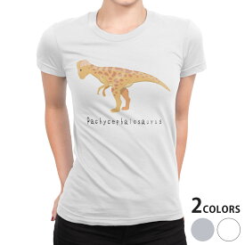 tシャツ レディース 半袖 白地 デザイン S M L XL Tシャツ ティーシャツ T shirt 017690 恐竜 パキケファロサウルス saurus 恐竜