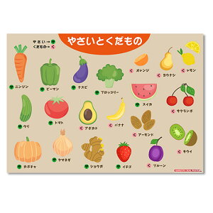 wK|X^[  ʕ m WjA c c B3TCY 364×515mm R~jP[V V[|X^[ ׋ RɊwׂ gɂ h C LbY mߋ w wj 