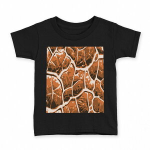 tVc LbY  n ubN fUC 90 100 110 120 130 140 150 160 TVc eB[Vc T shirt 000366 Sy@F