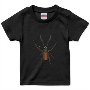 �L�b�Y ���� ���n �u���b�N �f�U�C��T�V���c ��T 90 100 110 120 130 140 150 �e�B�[�V���c T shirt 020003 �`���N���K�^