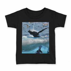 tVc LbY  n ubN fUC 90 100 110 120 130 140 150 160 TVc eB[Vc T shirt 004897 C@~@ʐ^