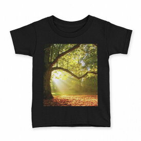 tシャツ キッズ 半袖 黒地 ブラック デザイン 90 100 110 120 130 140 150 Tシャツ ティーシャツ T shirt 014991 景色　自然　風景　写真　木　樹木