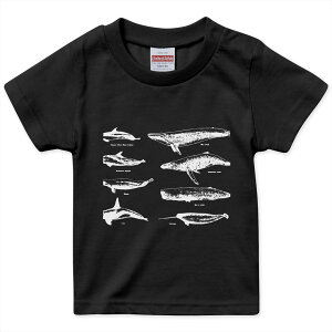 tVc LbY  n ubN fUC 90 100 110 120 130 140 150 160 TVc eB[Vc T shirt 015815 @NW@V`