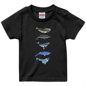 tVc LbY  n ubN fUC 90 100 110 120 130 140 150 160 TVc eB[Vc T shirt 015831 @C@@V`