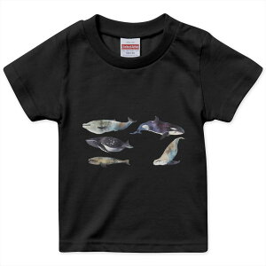 tVc LbY  n ubN fUC 90 100 110 120 130 140 150 160 TVc eB[Vc T shirt 015835 @C@@V`