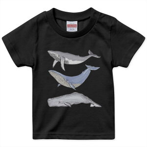 tVc LbY  n ubN fUC 90 100 110 120 130 140 150 160 TVc eB[Vc T shirt 015851 @@C