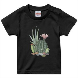 楽天市場 サボテン キッズの通販