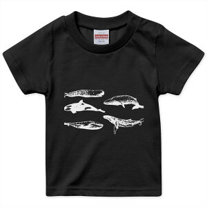 tVc LbY  n ubN fUC 90 100 110 120 130 140 150 160 TVc eB[Vc T shirt 016054 @V`@