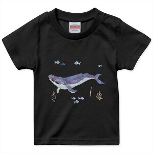 tVc LbY  n ubN fUC 90 100 110 120 130 140 150 160 TVc eB[Vc T shirt 017806 C̒@ @C̒@